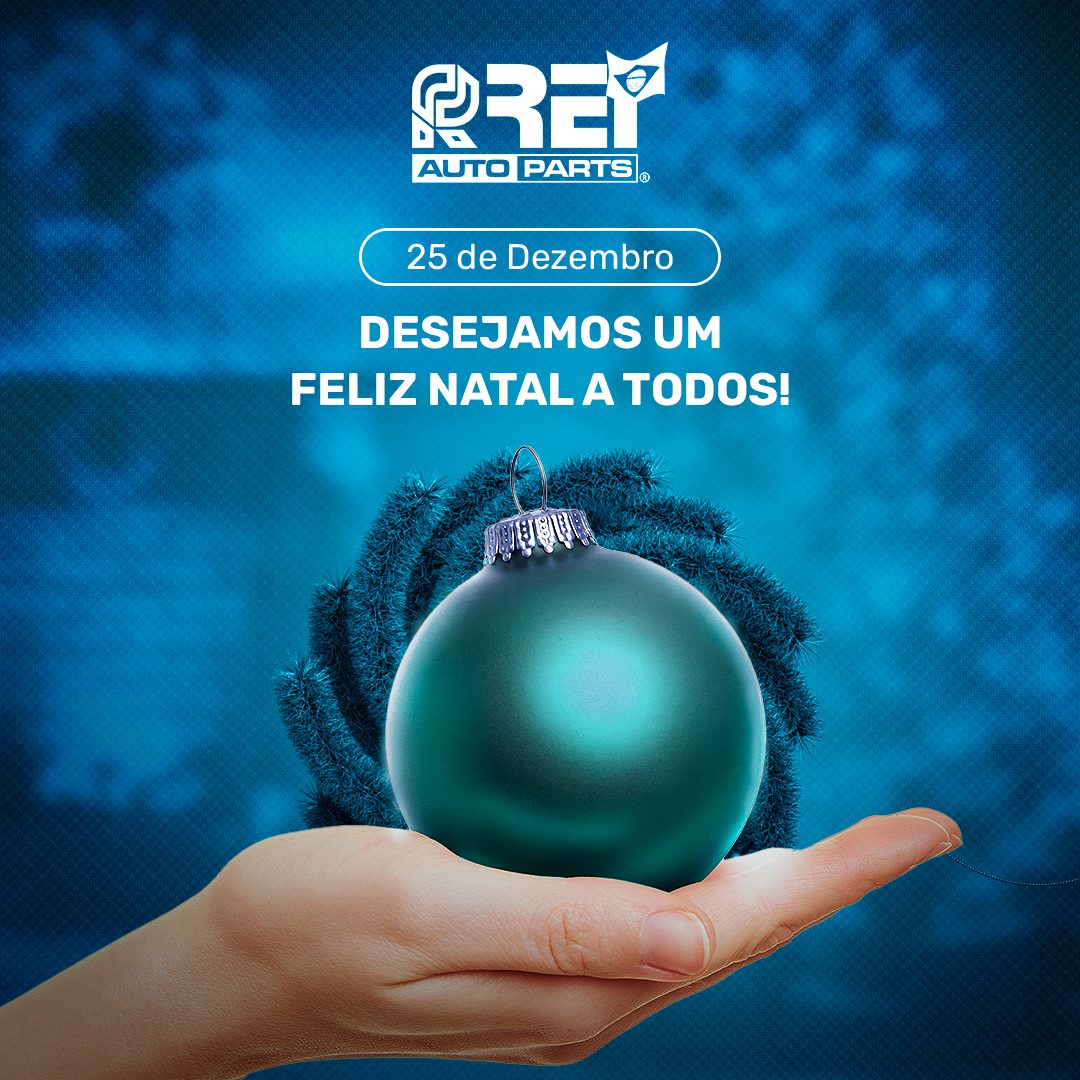 8 de Dezembro – Dia Nacional da Família – Rei Auto Parts