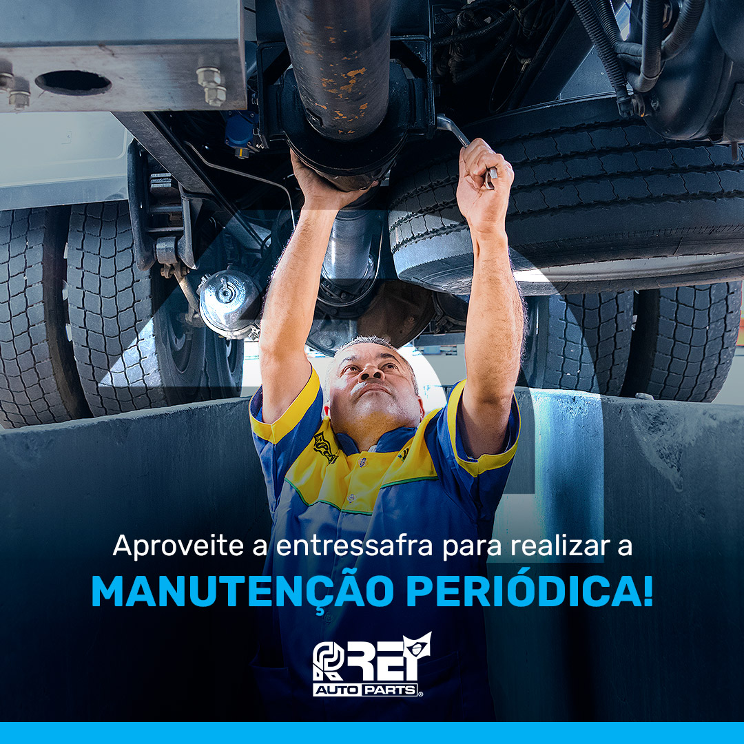 Institucional – Página: 2 – Rei Auto Parts